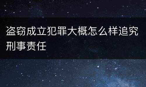 盗窃成立犯罪大概怎么样追究刑事责任