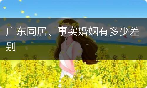 广东同居、事实婚姻有多少差别