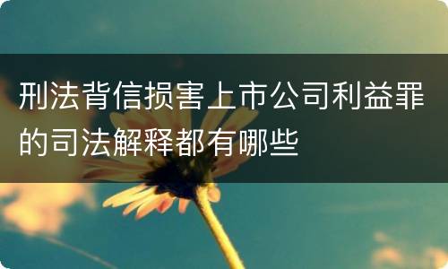 刑法背信损害上市公司利益罪的司法解释都有哪些