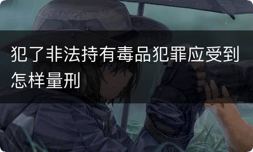 犯了非法持有毒品犯罪应受到怎样量刑