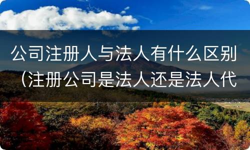 公司注册人与法人有什么区别（注册公司是法人还是法人代表）