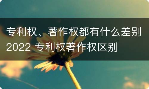 专利权、著作权都有什么差别2022 专利权著作权区别