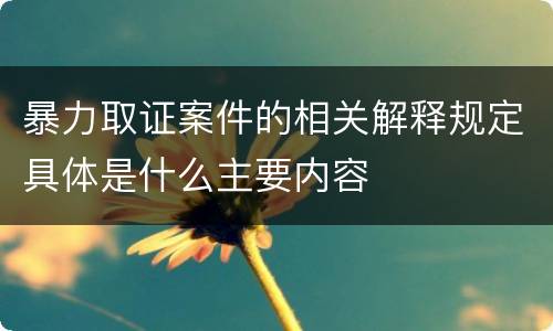 暴力取证案件的相关解释规定具体是什么主要内容