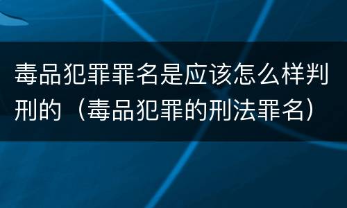 毒品犯罪罪名是应该怎么样判刑的（毒品犯罪的刑法罪名）