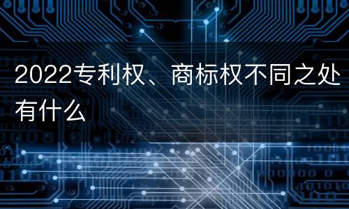 2022专利权、商标权不同之处有什么