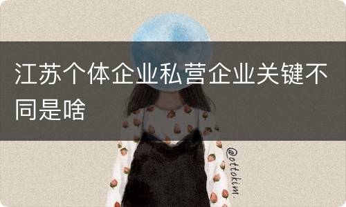 江苏个体企业私营企业关键不同是啥
