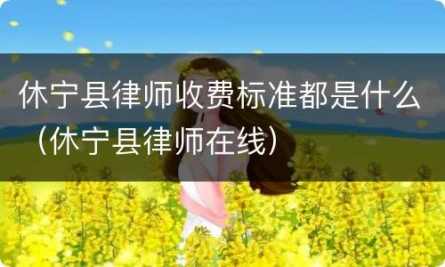 休宁县律师收费标准都是什么（休宁县律师在线）