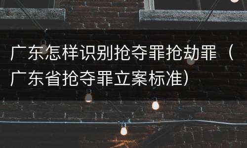 广东怎样识别抢夺罪抢劫罪（广东省抢夺罪立案标准）