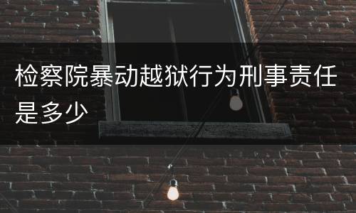 检察院暴动越狱行为刑事责任是多少