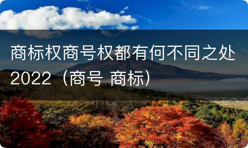 商标权商号权都有何不同之处2022（商号 商标）