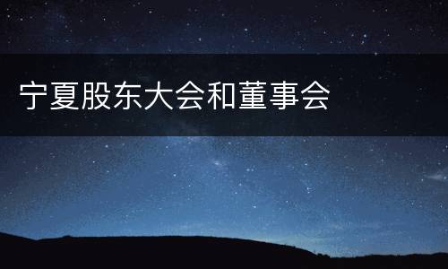 宁夏股东大会和董事会