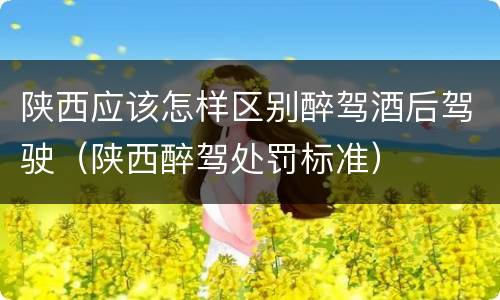 陕西应该怎样区别醉驾酒后驾驶（陕西醉驾处罚标准）