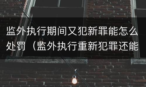 监外执行期间又犯新罪能怎么处罚（监外执行重新犯罪还能监外）