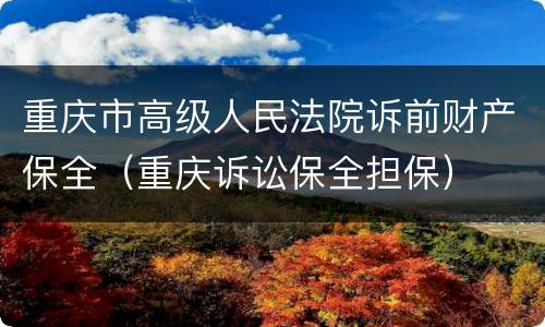 重庆市高级人民法院诉前财产保全（重庆诉讼保全担保）