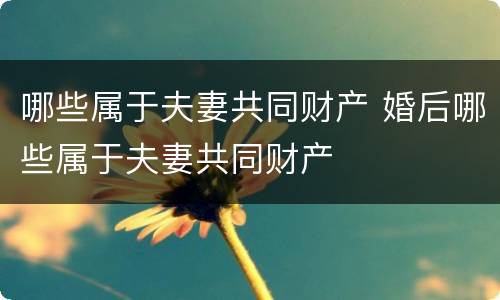 哪些属于夫妻共同财产 婚后哪些属于夫妻共同财产