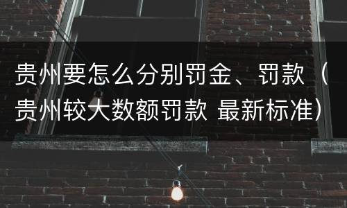 贵州要怎么分别罚金、罚款（贵州较大数额罚款 最新标准）