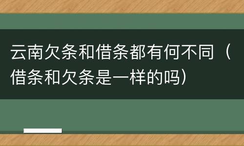 云南欠条和借条都有何不同（借条和欠条是一样的吗）