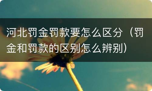 河北罚金罚款要怎么区分（罚金和罚款的区别怎么辨别）