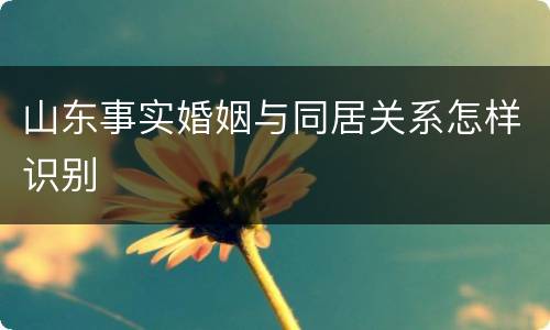 山东事实婚姻与同居关系怎样识别