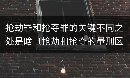 抢劫罪和抢夺罪的关键不同之处是啥（抢劫和抢夺的量刑区别）