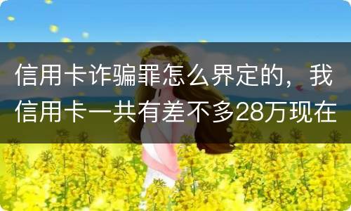 信用卡诈骗罪怎么界定的，我信用卡一共有差不多28万现在没有钱还了应该怎么办