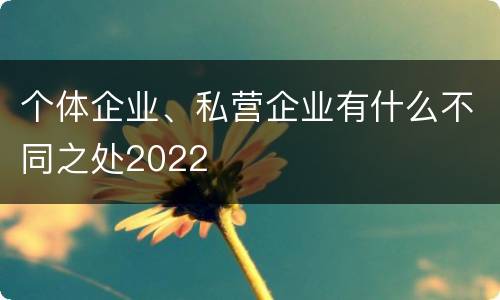 个体企业、私营企业有什么不同之处2022