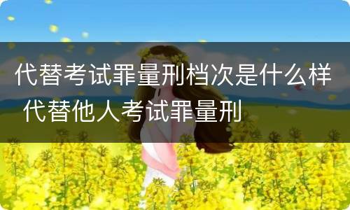 代替考试罪量刑档次是什么样 代替他人考试罪量刑