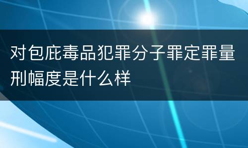 对包庇毒品犯罪分子罪定罪量刑幅度是什么样