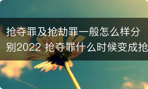 抢夺罪及抢劫罪一般怎么样分别2022 抢夺罪什么时候变成抢劫罪