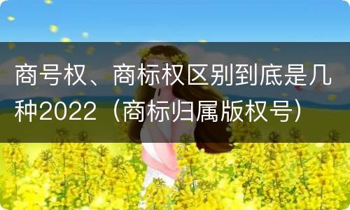 商号权、商标权区别到底是几种2022（商标归属版权号）