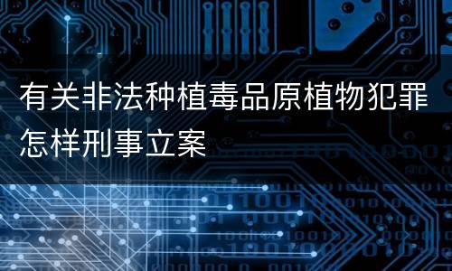 有关非法种植毒品原植物犯罪怎样刑事立案