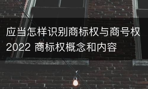 应当怎样识别商标权与商号权2022 商标权概念和内容