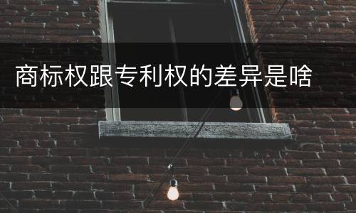 商标权跟专利权的差异是啥