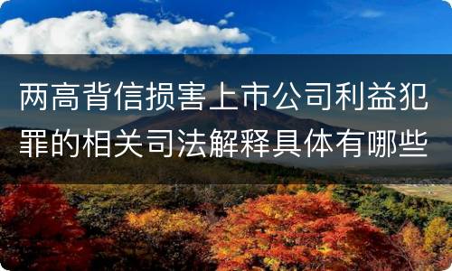 两高背信损害上市公司利益犯罪的相关司法解释具体有哪些内容