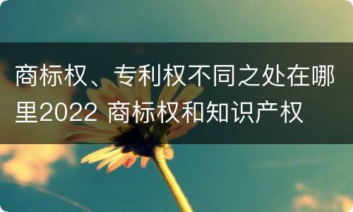 商标权、专利权不同之处在哪里2022 商标权和知识产权