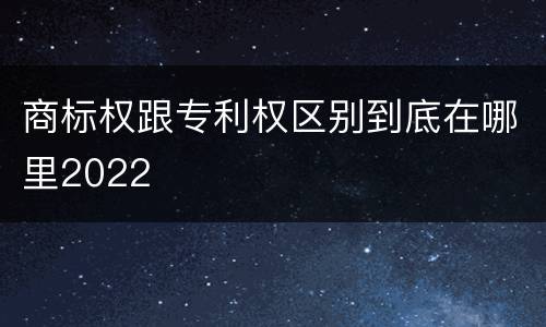 商标权跟专利权区别到底在哪里2022