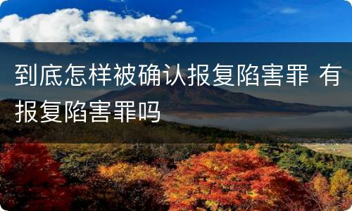到底怎样被确认报复陷害罪 有报复陷害罪吗