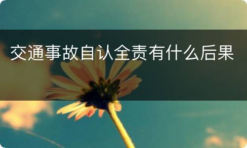 交通事故自认全责有什么后果