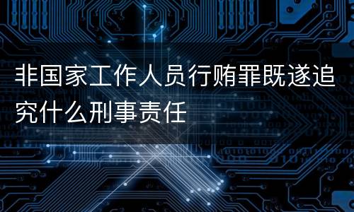 非国家工作人员行贿罪既遂追究什么刑事责任