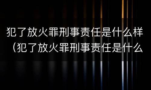犯了放火罪刑事责任是什么样（犯了放火罪刑事责任是什么样的呢）