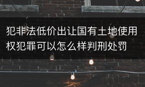 犯非法低价出让国有土地使用权犯罪可以怎么样判刑处罚