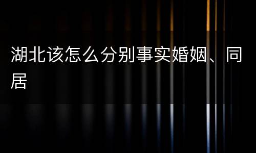 湖北该怎么分别事实婚姻、同居