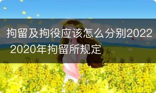 拘留及拘役应该怎么分别2022 2020年拘留所规定