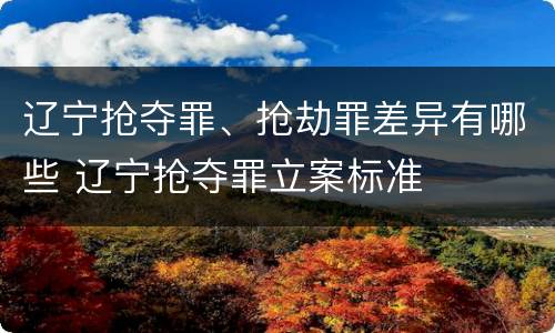 辽宁抢夺罪、抢劫罪差异有哪些 辽宁抢夺罪立案标准