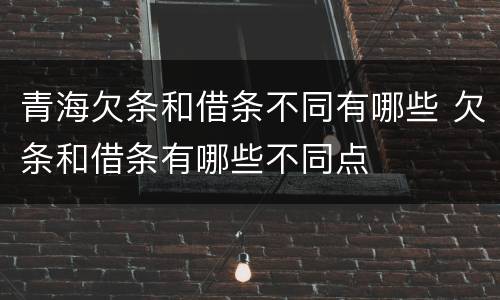 青海欠条和借条不同有哪些 欠条和借条有哪些不同点