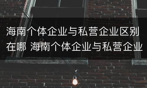 海南个体企业与私营企业区别在哪 海南个体企业与私营企业区别在哪儿