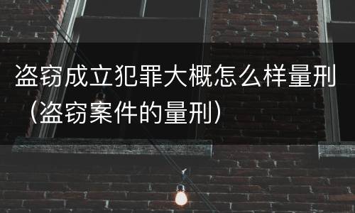 盗窃成立犯罪大概怎么样量刑（盗窃案件的量刑）
