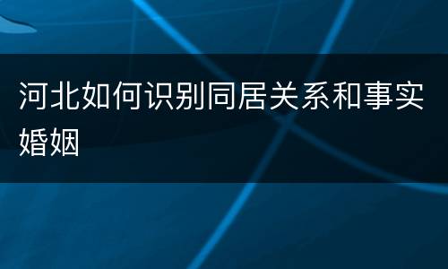 河北如何识别同居关系和事实婚姻
