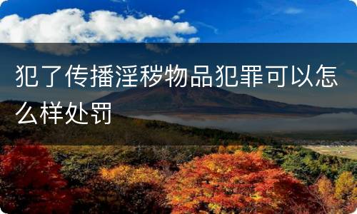 犯了传播淫秽物品犯罪可以怎么样处罚