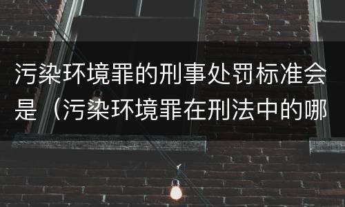 污染环境罪的刑事处罚标准会是（污染环境罪在刑法中的哪条规定）